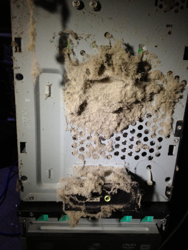 Dusty Computer