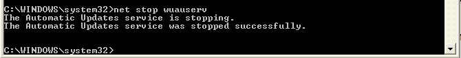 Stopping Windows Auto Update